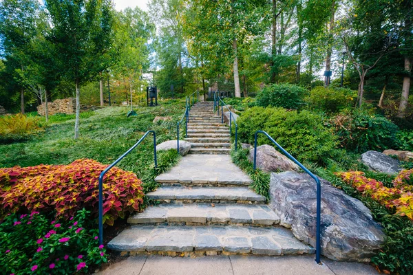 Jardín y escaleras en el Falls Park en el Reedy, en Greenville , — Foto de Stock