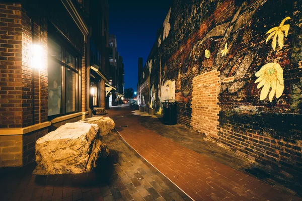 Jalan setapak sempit dan bangunan bata di malam hari, di pusat kota Rock Hi — Stok Foto