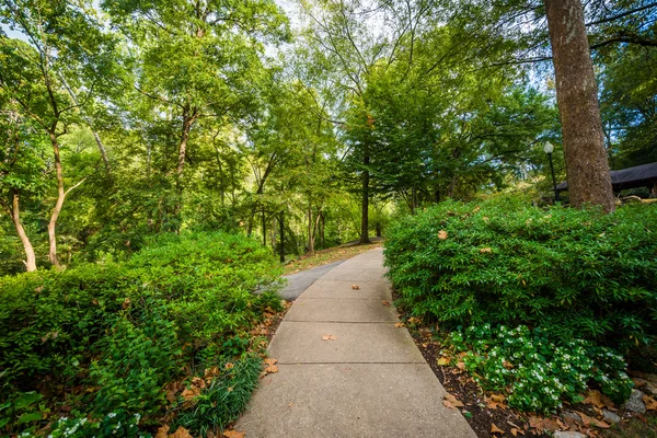 Camino en el Falls Park en el Reedy, en Greenville, South Caroli — Foto de Stock