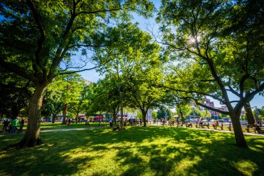 Dupont Circle Park, Washington, Dc.