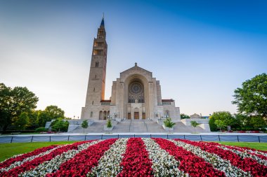 Çiçek ve Immaculat Ulusal tapınak Bazilikası