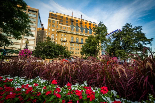 Gardens and buildings at Farragut Square, in Washington, DC. — Stockfoto