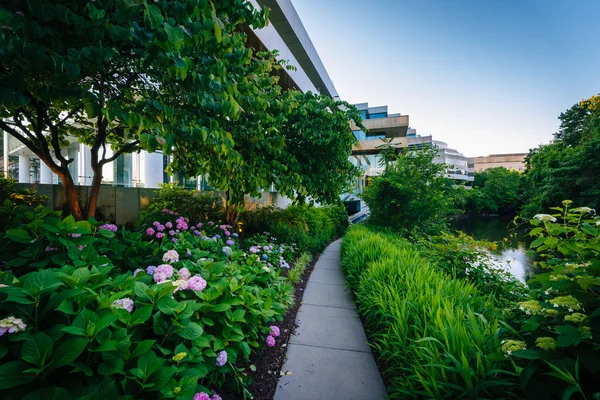 Trädgårdar och gångväg utanför Sveriges ambassad i Washington — Stockfoto