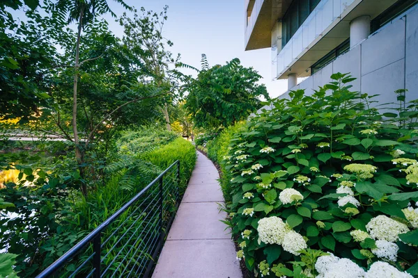 Gardens and walkway outside the Embassy of Sweden, in Washington — Stock Photo, Image