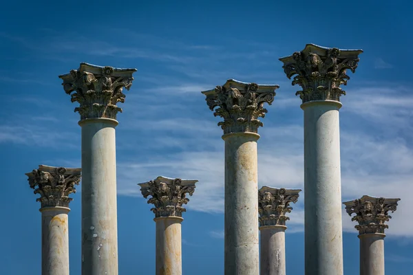 Colunas do Capitólio no Arboreto Nacional em Washington, DC . — Fotografia de Stock