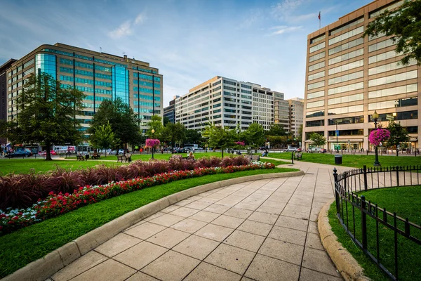 Walkway and buildings at Farragut Square, in Washington, DC. — Stock fotografie