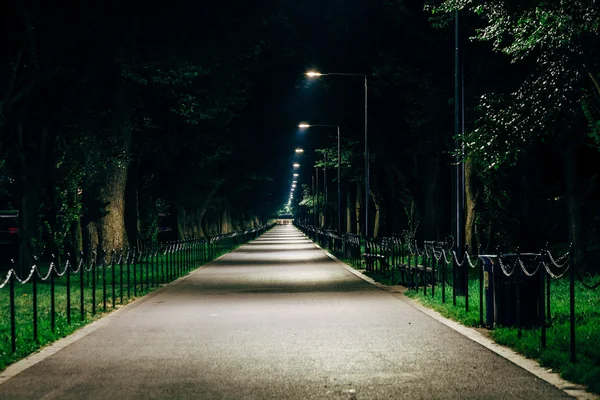 Walkway at night, at the National Mall in Washington, DC. — Stock Photo, Image