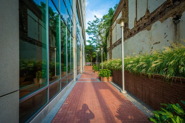 Buildings and walkway in downtown Columbia, South Carolina. — Stock fotografie