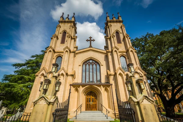 Trinity Episcopal Cathedral, in Columbia, South Carolina. — Stock Photo, Image