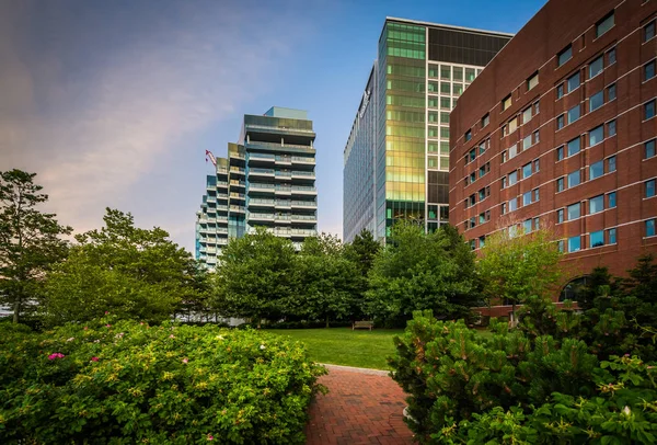 Gardens and modern buildings in South Boston, Massachusetts.