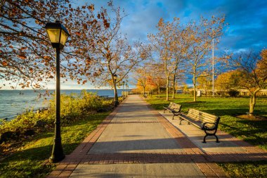 Autumn color along the promenade at Concord Point, in Havre de G clipart