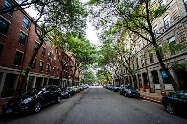 Met bomen omzoomde straat in de North End, Boston, Massachusetts. — Stockfoto