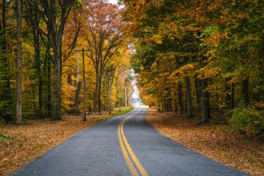 Wye Adası, Maryland yakınlarındaki Carmichael yolu boyunca sonbahar renk.