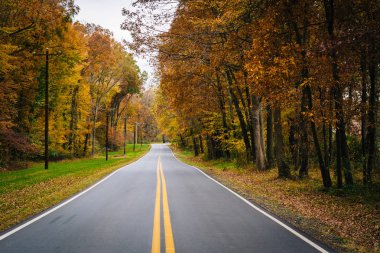 Wye Adası, Maryland yakınlarındaki Carmichael yolu boyunca sonbahar renk.