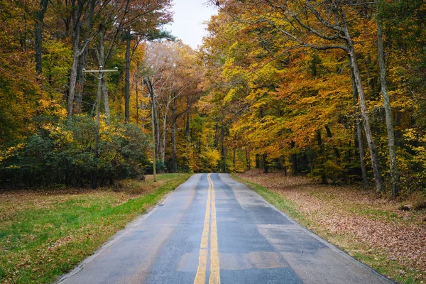 Cor do outono ao longo Carmichael Road, perto de Wye Island, Maryland . — Fotografia de Stock