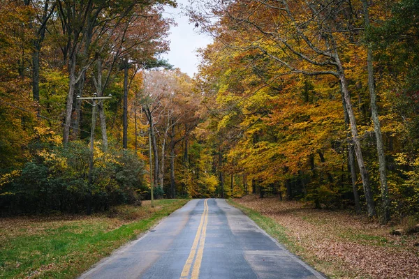 Herbstfärbung entlang der Carmichael Road, nahe der Insel Wye, Maryland. — Stockfoto