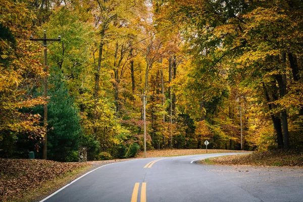 Herbstfärbung entlang der Carmichael Road, nahe der Insel Wye, Maryland. — Stockfoto