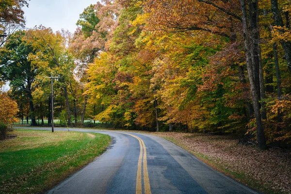 Autumn color along Carmichael Road, near Wye Island, Maryland. — Stock Photo, Image
