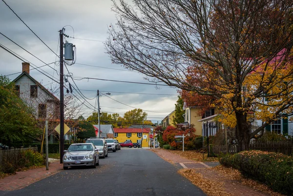 Höstfärg längs en gata i St. Michaels, Maryland. — Stockfoto