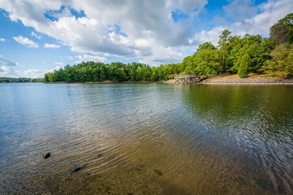 Озеро Уайли, в природном заповеднике Макдауэлл, в Шарлотте, Норт-Кар — стоковое фото