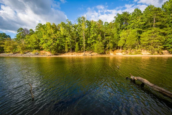 Lake Wylie, på Mcdowell Nature Preserve, i Charlotte, North bil — Stockfoto