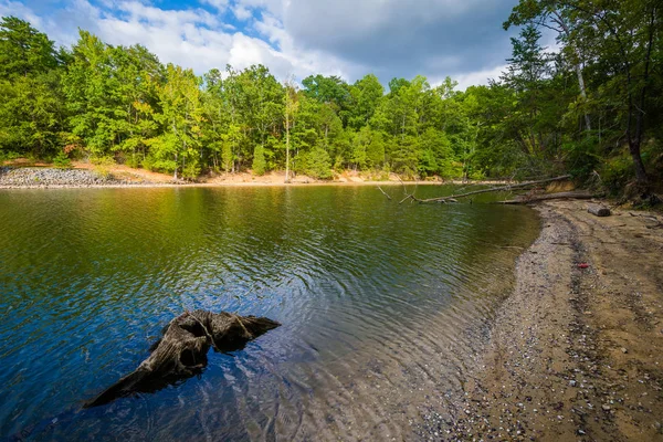 Tree stump in Lake Wylie, at McDowell Nature Preserve, in Charlo — Stock Photo, Image