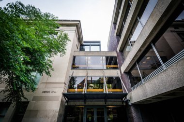 Areeda Hall, Harvard Üniversitesi, Cambridge, Massachusetts.