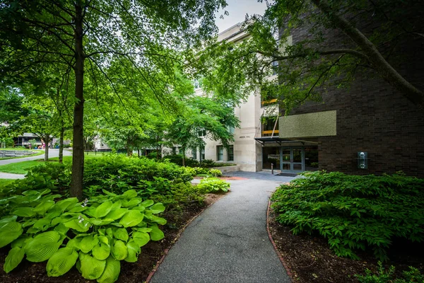 Areeda Hall, aan de Harvard University in Cambridge (Massachusetts). — Stockfoto