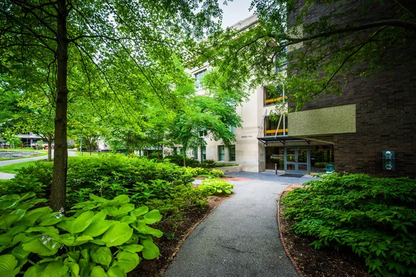 Areeda Hall, aan de Harvard University in Cambridge (Massachusetts). — Stockfoto