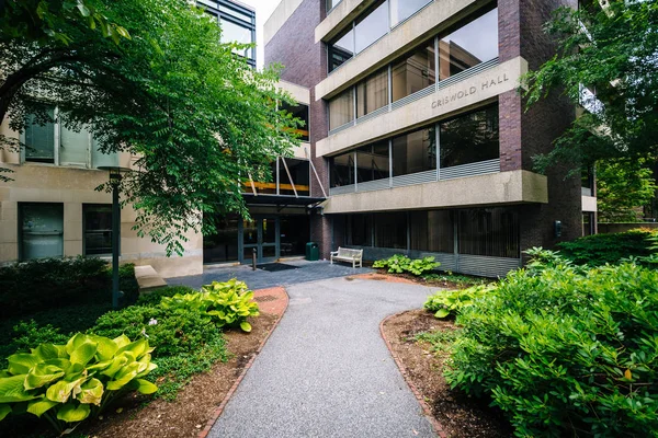 Griswold Hall, vid Harvard University, i Cambridge, Massachusett — Stockfoto