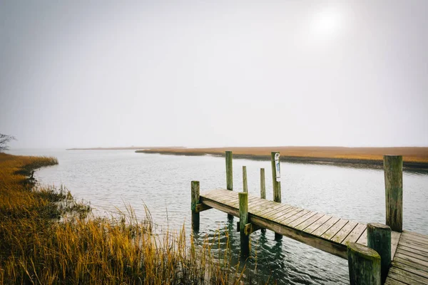 Dock a mokřadů v destinaci Ostrov Chincoteague, Virginia. — Stock fotografie