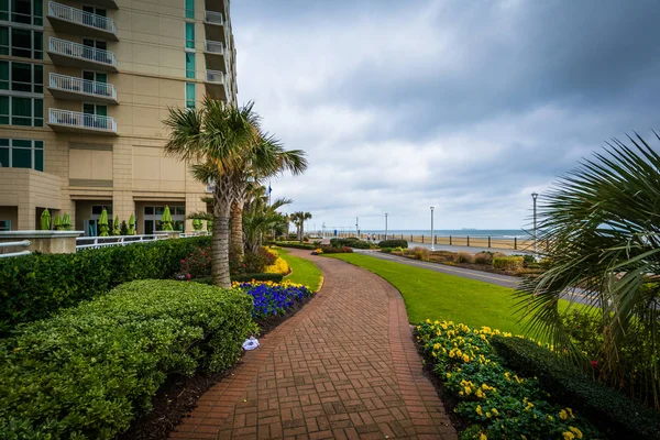 Palmové stromy a zahrady podél chodníku v Virginia Beach, Panna — Stock fotografie