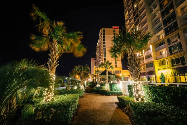 Palmiye ağaçları ve gece, Virg bir geçit boyunca highrise oteller — Stok fotoğraf