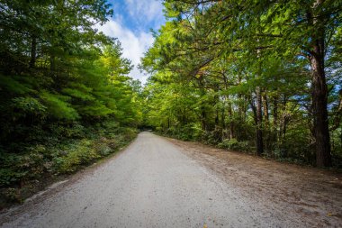 Linville Gorge, içinde Pisgah Ulusal Ormanı, Kuzey toprak yol