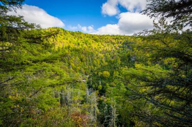 Linville Gorge yakınındaki mavi R boyunca Linville Şelalesi görünümünü