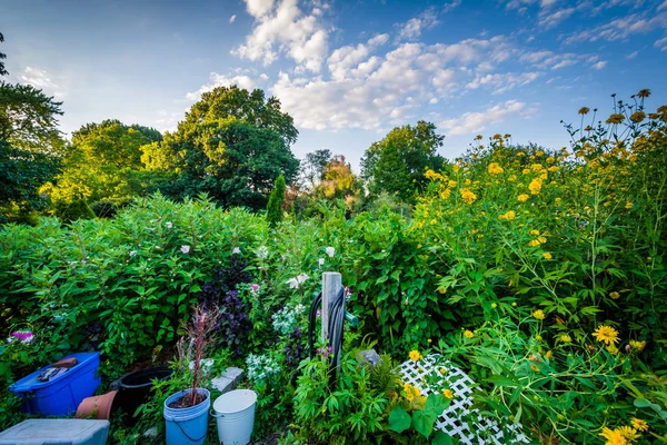 Jardins em Back Bay Fens, em Boston, Massachusetts . — Fotografia de Stock