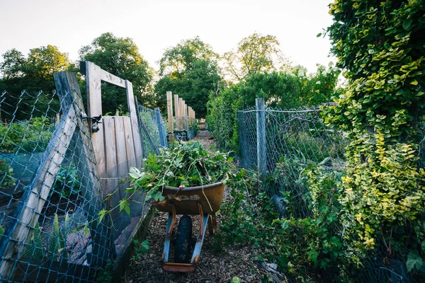 Gardens at Back Bay Fens, in Boston, Massachusetts. — Stock Photo, Image