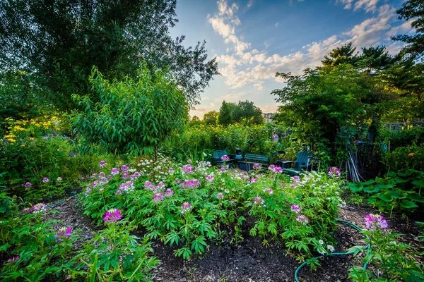 Jardins em Back Bay Fens, em Boston, Massachusetts . — Fotografia de Stock