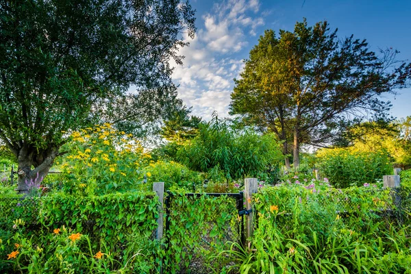 Trädgårdar på Back Bay Fens, i Boston, Massachusetts. — Stockfoto