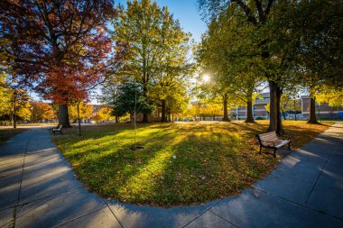 Franklin Square Park'ta Baltimore geçit ve sonbahar renk, 