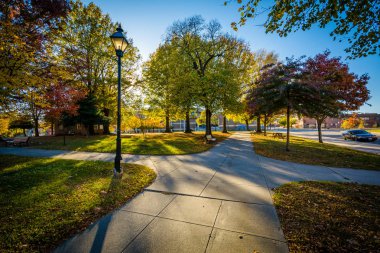 Franklin Square Park'ta Baltimore geçit ve sonbahar renk, 