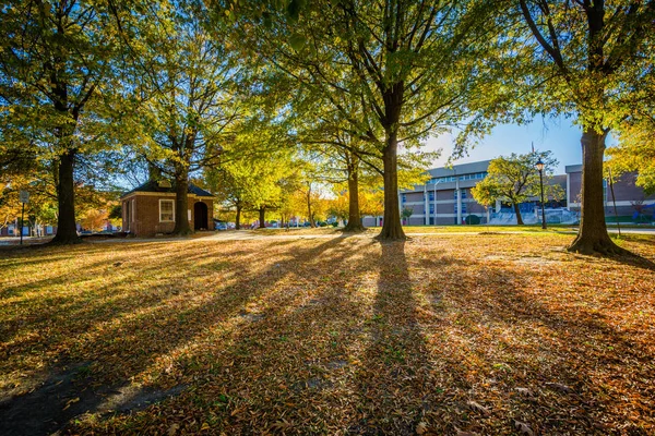 Walkway and autumn color at Franklin Square Park, in Baltimore, — Stock Photo, Image