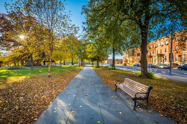 Gångväg och höst färg på Franklin Square Park, i Baltimore, — Stockfoto