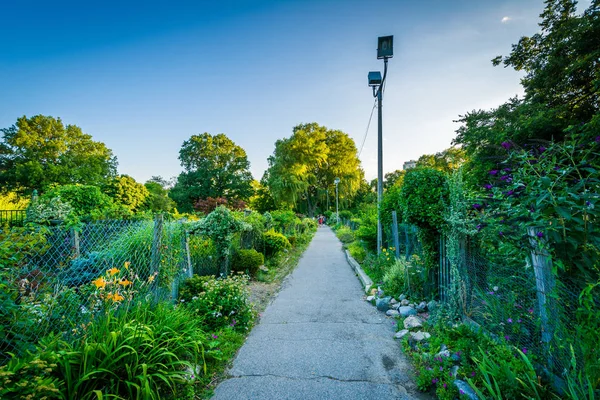 Gångväg och trädgårdar i Back Bay kärr, i Boston, Massachusetts. — Stockfoto