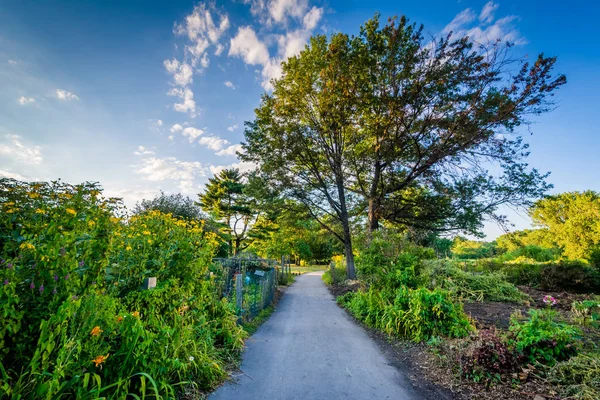 Walkway and gardens at Back Bay Fens, in Boston, Massachusetts. — Stock Photo, Image