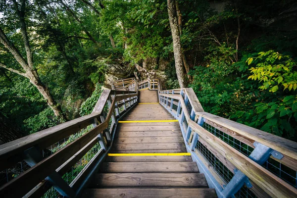 Treppen am Kaminfelsen State Park, North Carolina. — Stockfoto