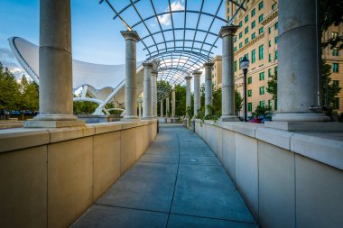 Kafes ve şehir Asheville Pack Square Park'ta geçit, 