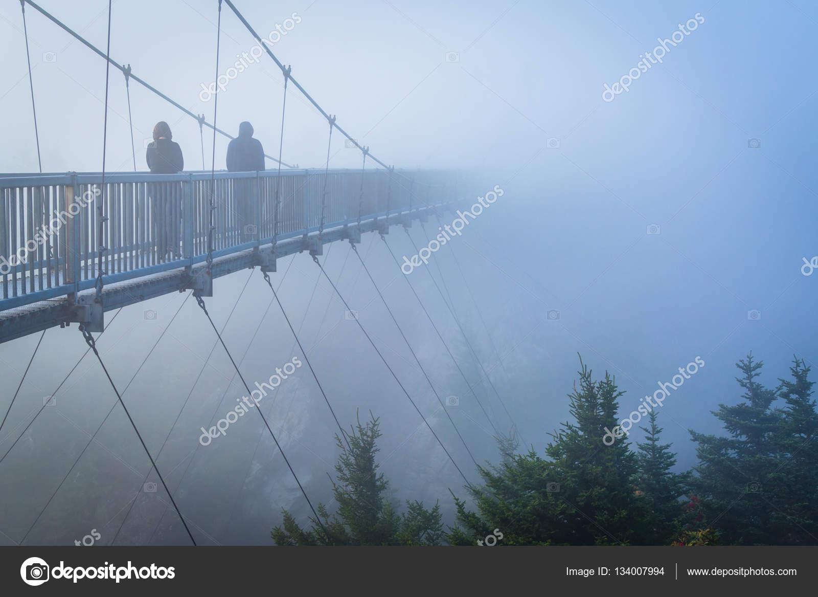 The Mile High Swinging Bridge In Fog At Grandfather