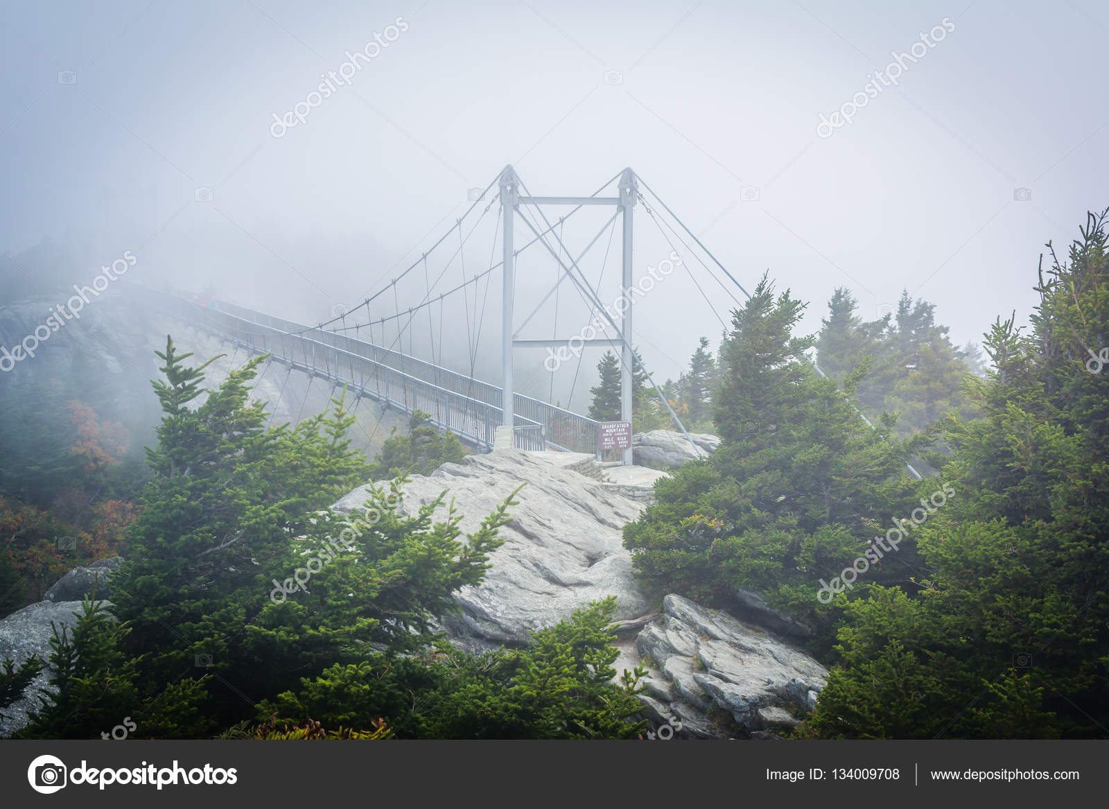 The Mile High Swinging Bridge In Fog At Grandfather