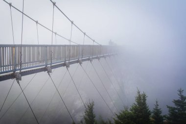Sis, büyükbaba Dağı, N mil yüksek Swinging Bridge'de